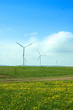 wind turbines, blue sky and green meadow