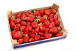 fraises fraises