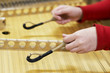 hammered dulcimer stringed musical instrument with player
