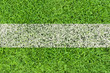 Fußballrasen-Linie