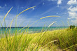Sand dunes at beach