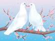 Pigeons.