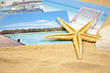 Seestern, Muscheln, Sand und Fotos