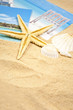 Seestern, Muscheln, Sand und Fotos