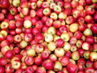 Äpfel