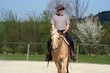 Training auf dem Reitplatz 2
