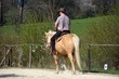 Training auf dem Reitplatz 3