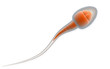 Sperm