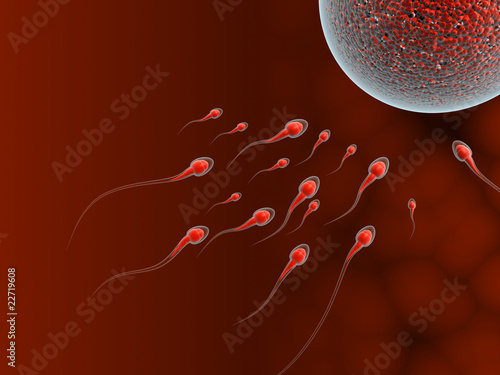 Ilustración: Sperm Attack Sperm Attack
