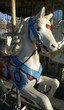 Cheval de Bois