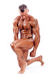 perfect muscle man isolated