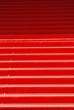 tapis rouge tapis rouge