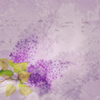 grunge background