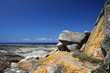 côte bretonne entre Pleubian et Paimpol,bretagne