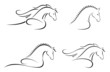 Horse head