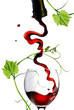 Pouring red wine in glass with rod isolated on white