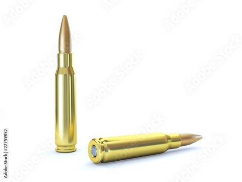 Bullet cartridge isolated on white background