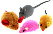 rongeurs, jouets pour chat, fond blanc