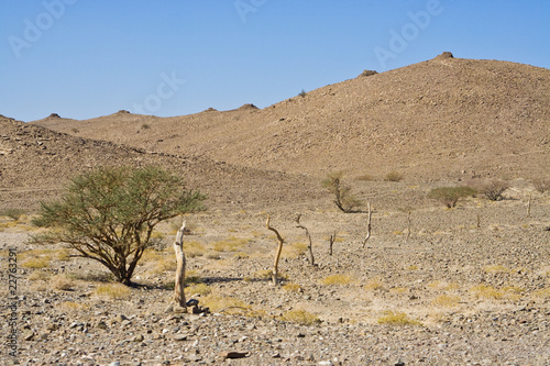 Photo: Bienenkorbgrab, Beehive Tomb, Bat, Oman Bienenkorbgrab, Beehive Tomb, Bat, Oman