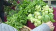 Fresh Vegetables
