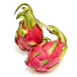 Vibrant Dragon Fruit Vibrant Dragon Fruit