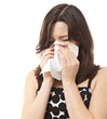 Hay Fever