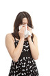 Hay Fever Dressed Up