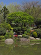 Jardin Japonais Jardin Japonais