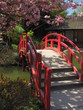 Jardin Japonais Jardin Japonais