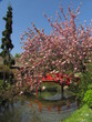 Jardin Japonais Jardin Japonais