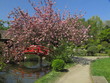 Jardin Japonais Jardin Japonais