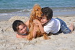 2 enfants et leur chien heureux sur la plage 2 enfants et leur chien heureux sur la plage