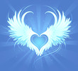 heart of an angel