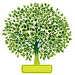 Green tree