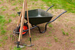 Wheelbarrow in a garden