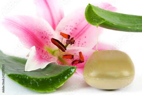 Foto: Wellness Wellness