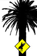 Illustration: surf schild surf schild