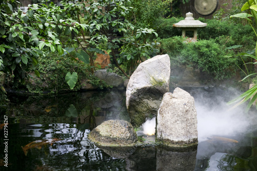 Photo: Teich 875 Teich 875