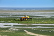 algues vertes sur la plage en bretagne algues vertes sur la plage en bretagne