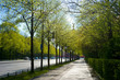 street to Berlin siegessaeule