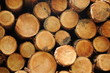 Closeup of a pile of logs