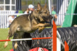 Dynamischer Sprung