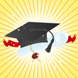 Holiday graduate