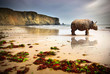 Beach Rhino