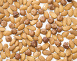 Background from nut. Filbert and Almonds.