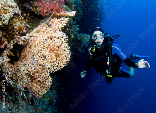 Photo: scuba diver on wall dive scuba diver on wall dive