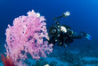 Photo: underwater camera man underwater camera man