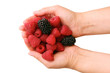 Raspberry and bilberry on palms