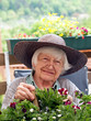 Foto: Seniorin Seniorin