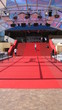 festival de cannes
